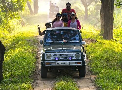 The Best Time to Visit Jim Corbett National Park: A Seasonal Guide